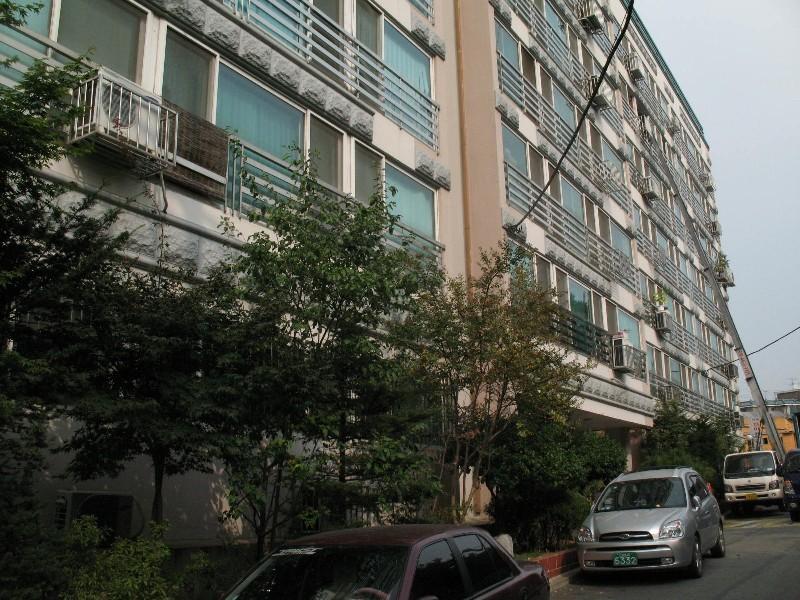 사진 087