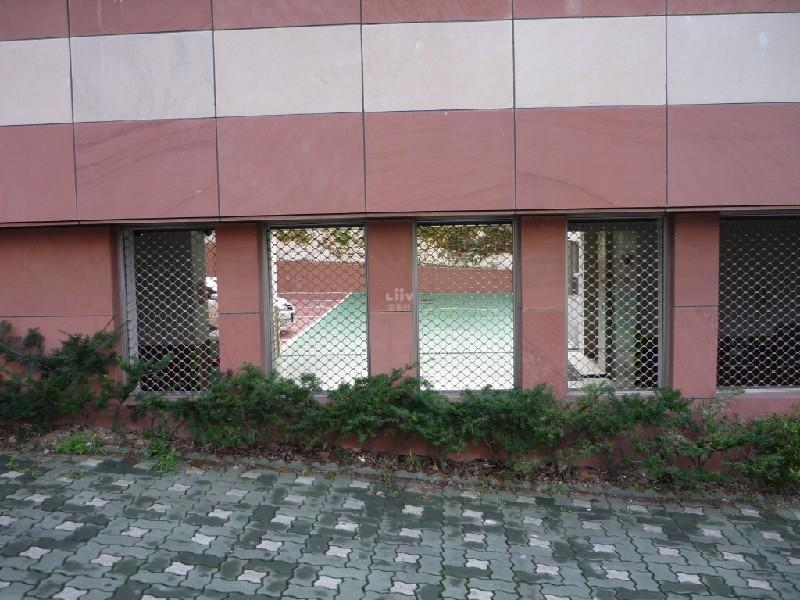 P1000425