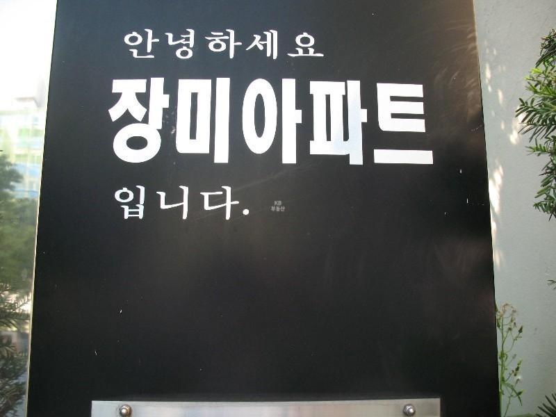 사진 152