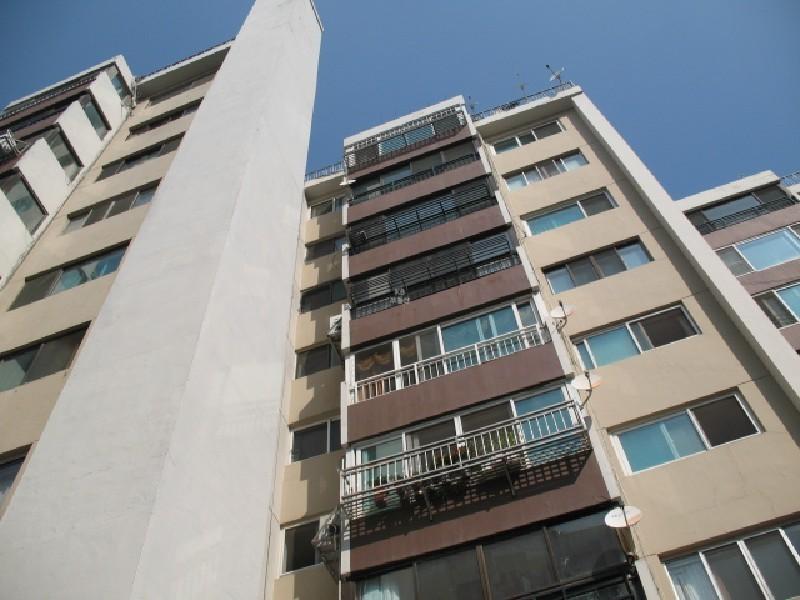 사진 204