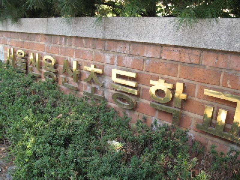 사진 078