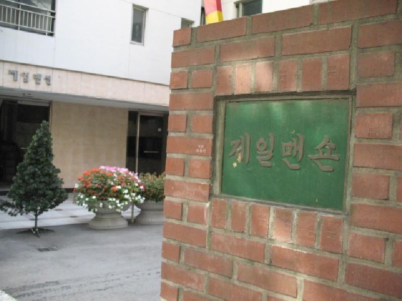 사진 195
