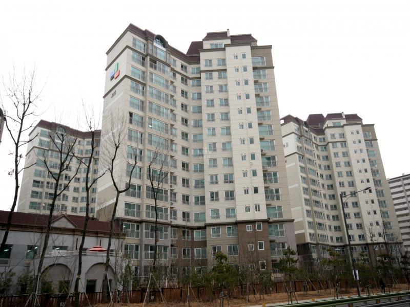 203동