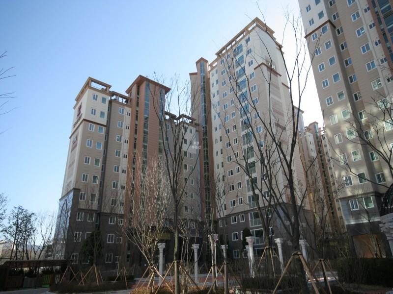 104동