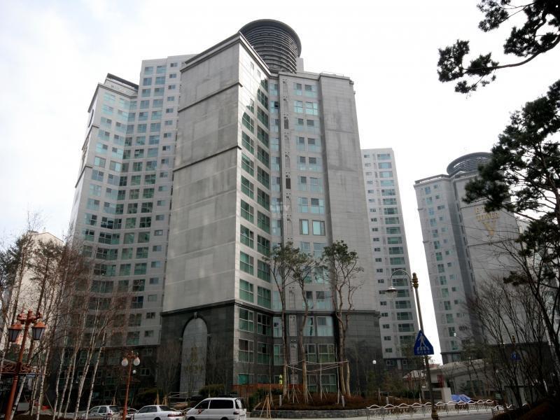 D동