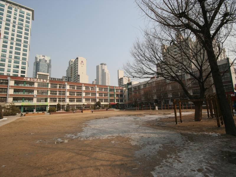 신양초교