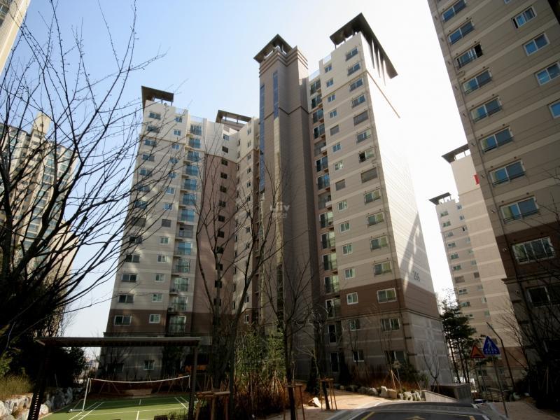 206동