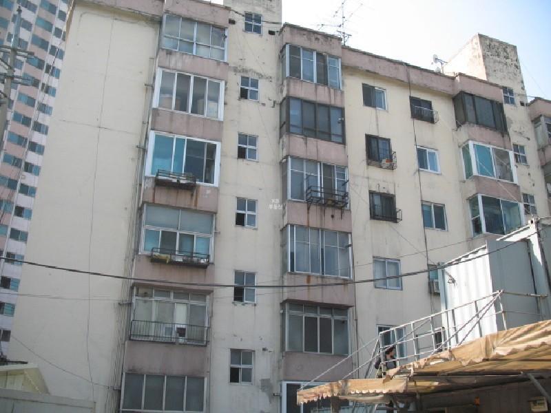 사진 275