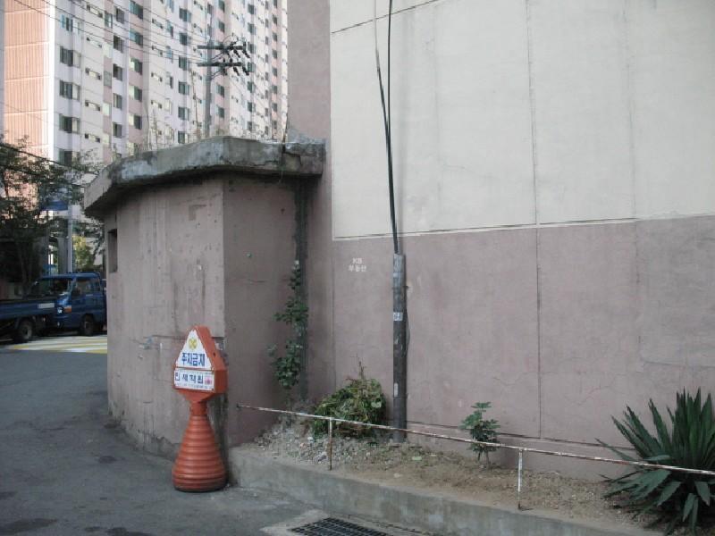 사진 278