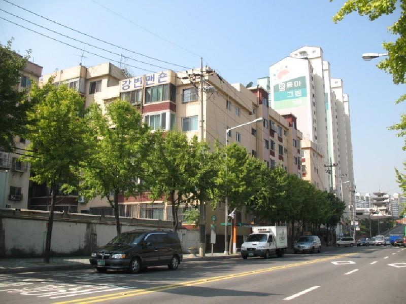 사진 272