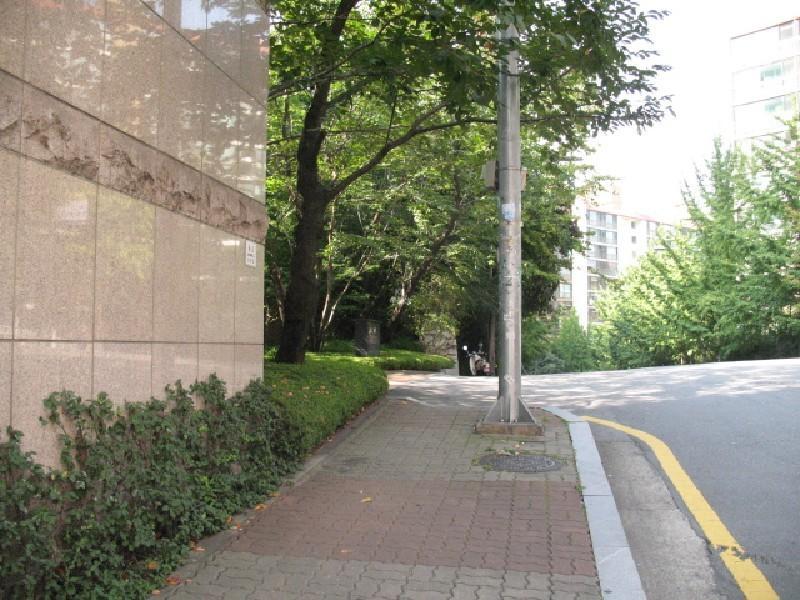 사진 410