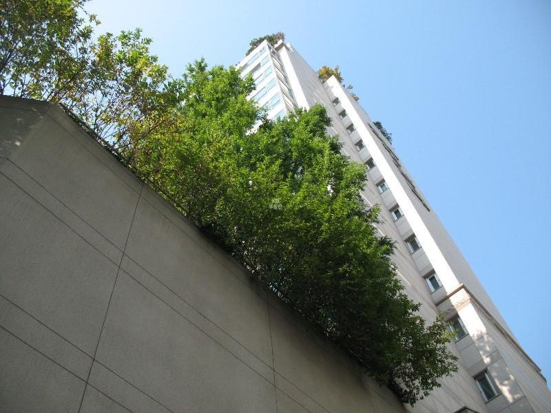사진 415