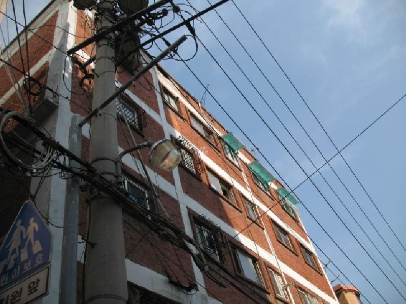 사진 455