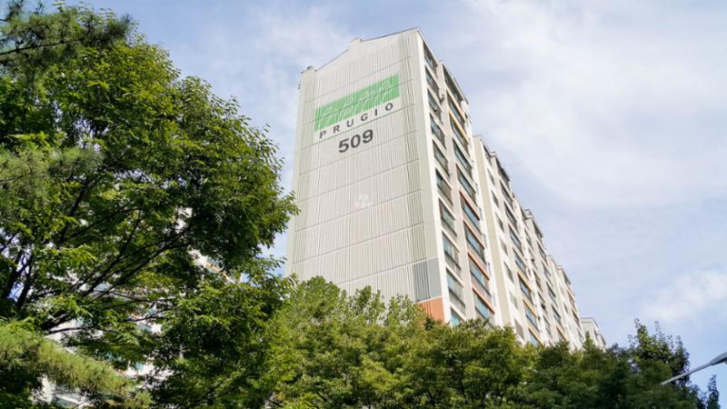 외부에서 바라본 은하대우