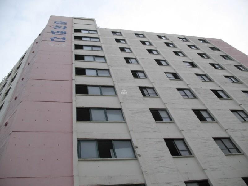 사진 472
