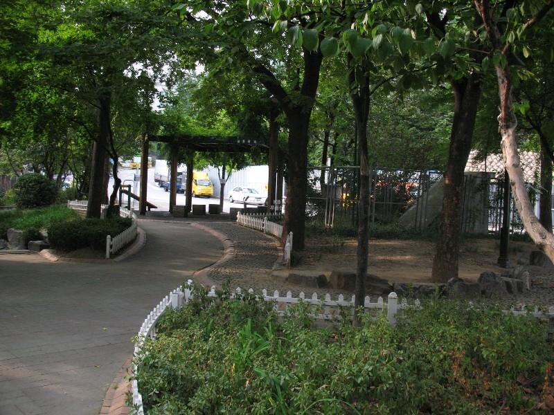 사진 475