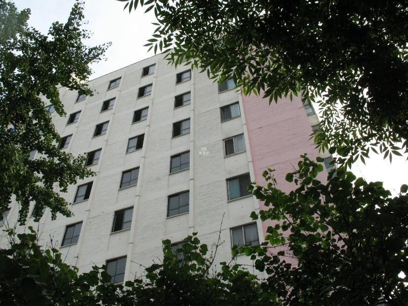 사진 476