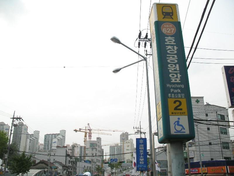 사진 455