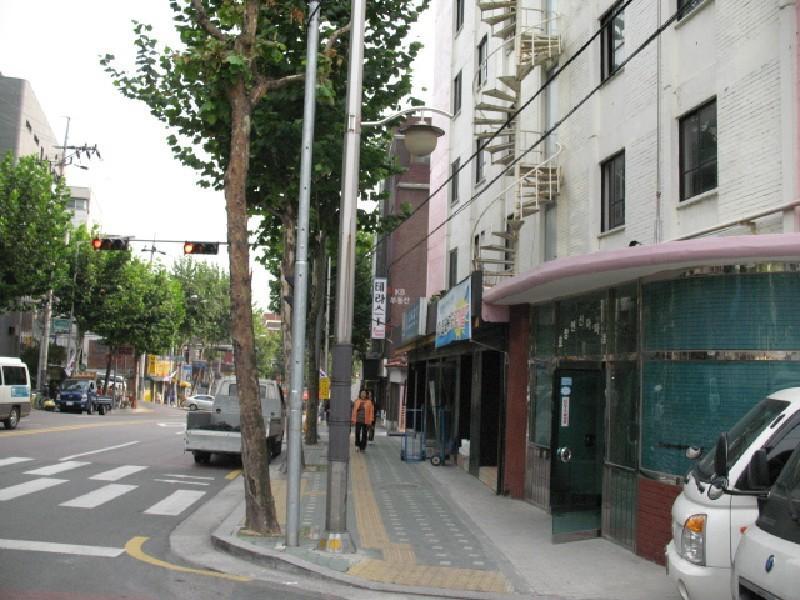 사진 474