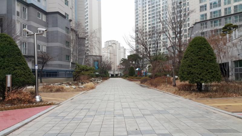 아파트 단지 내 조성되어 있는 보행로예요