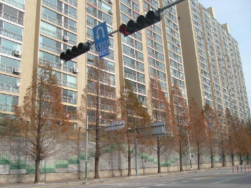 사진 052