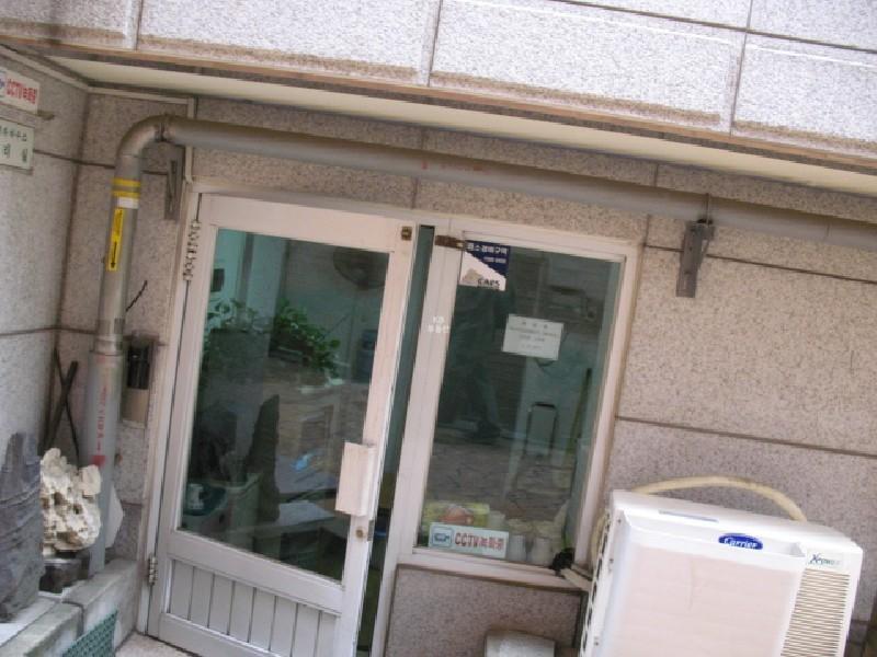 사진 141