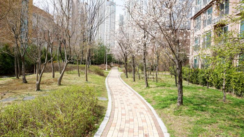단지 내에 다양한 종류의 나무들이 조성된 공원이 있어요