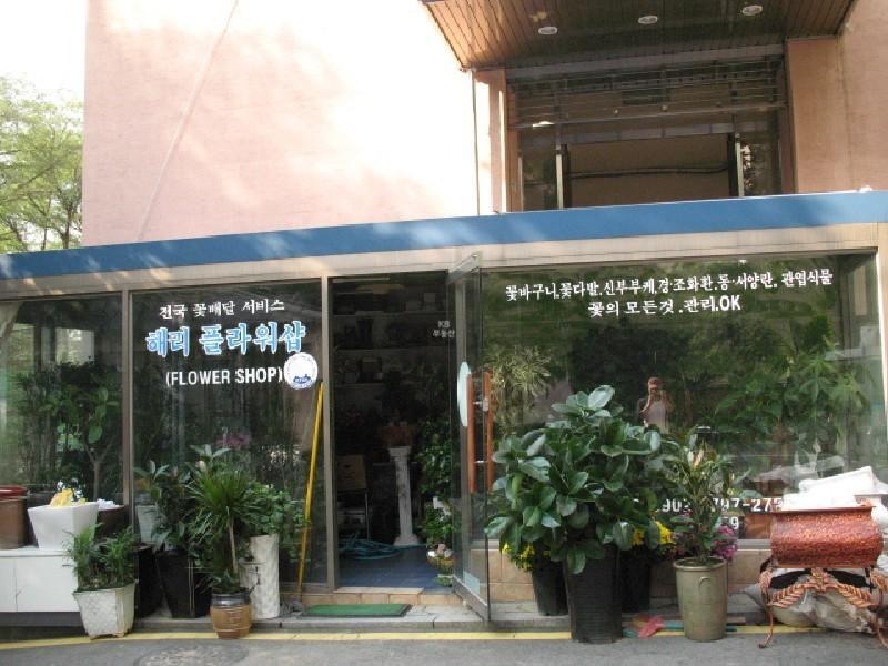 사진 443