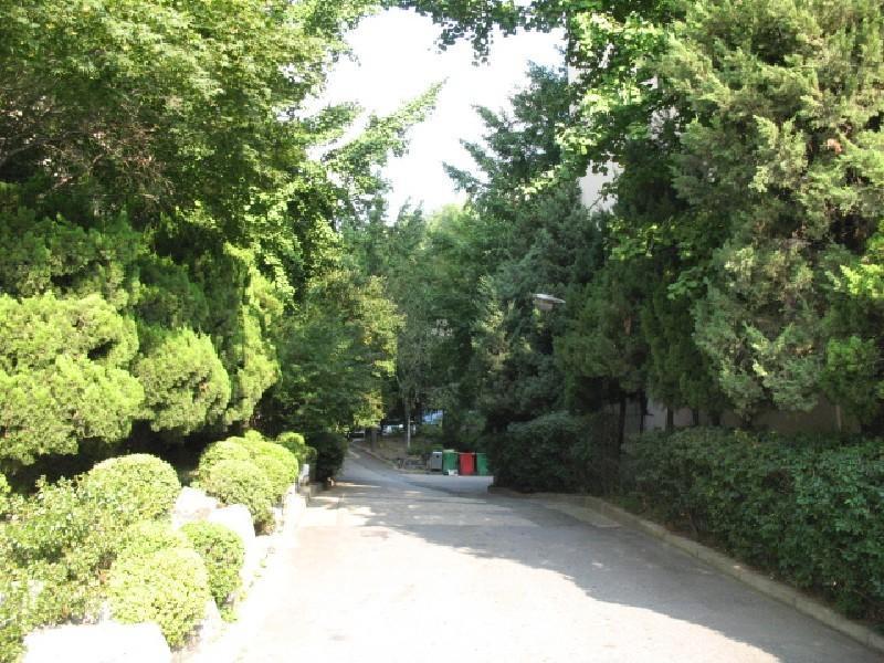 사진 430