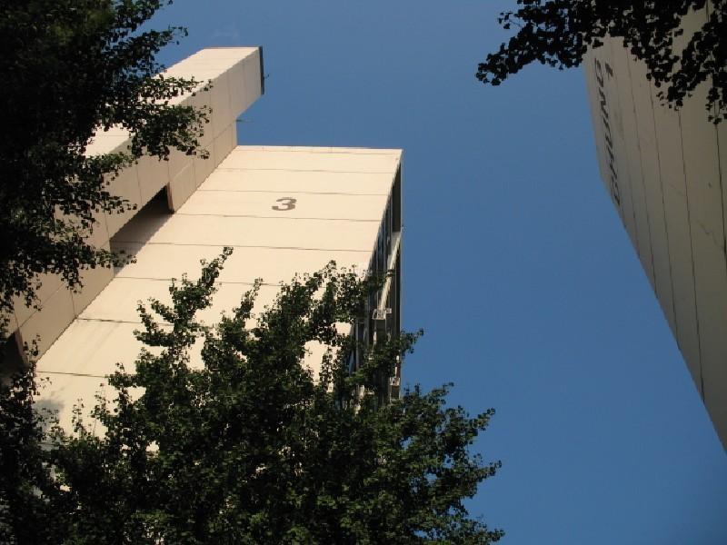 사진 431