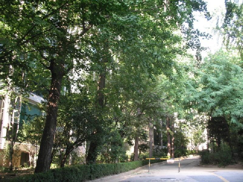 사진 433