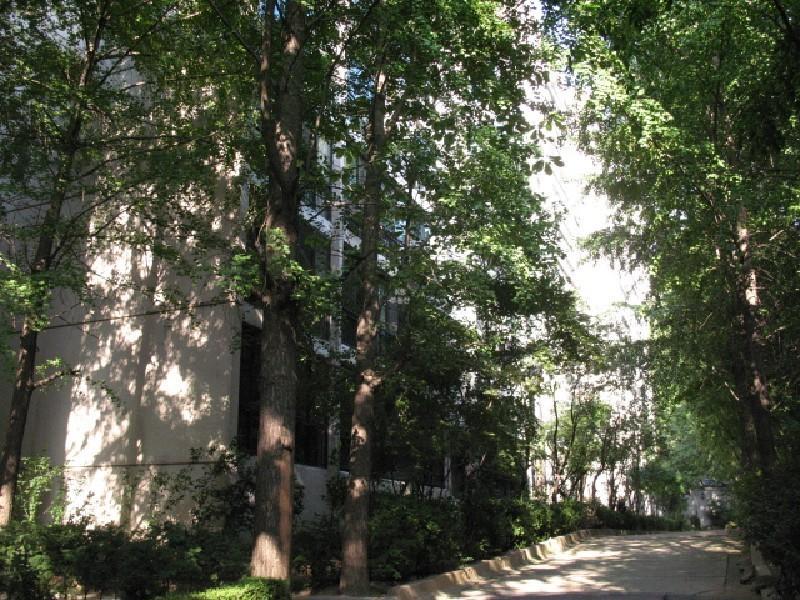 사진 434