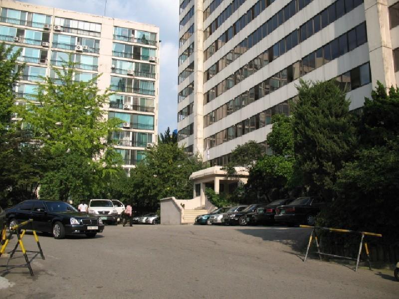 사진 445