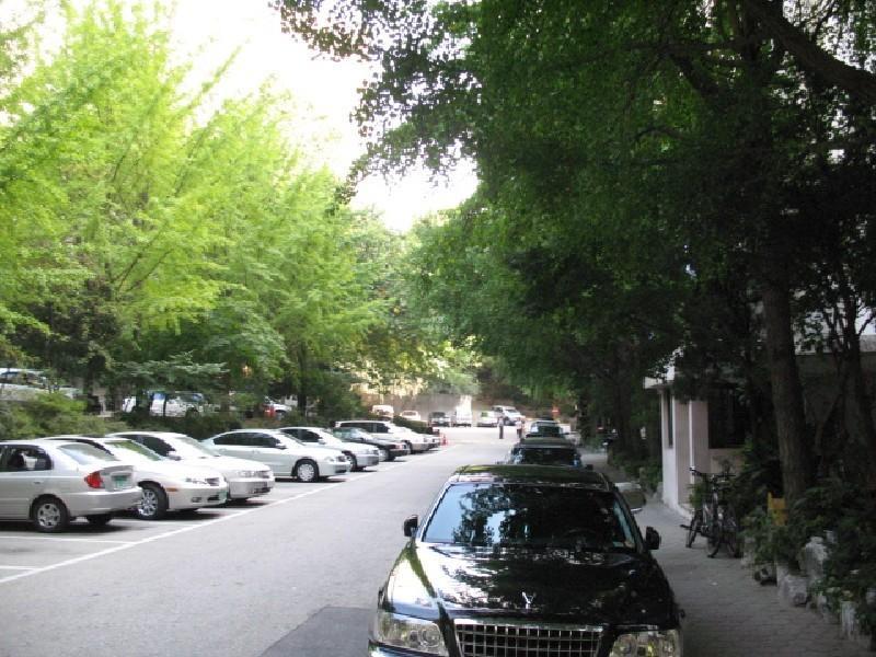사진 432