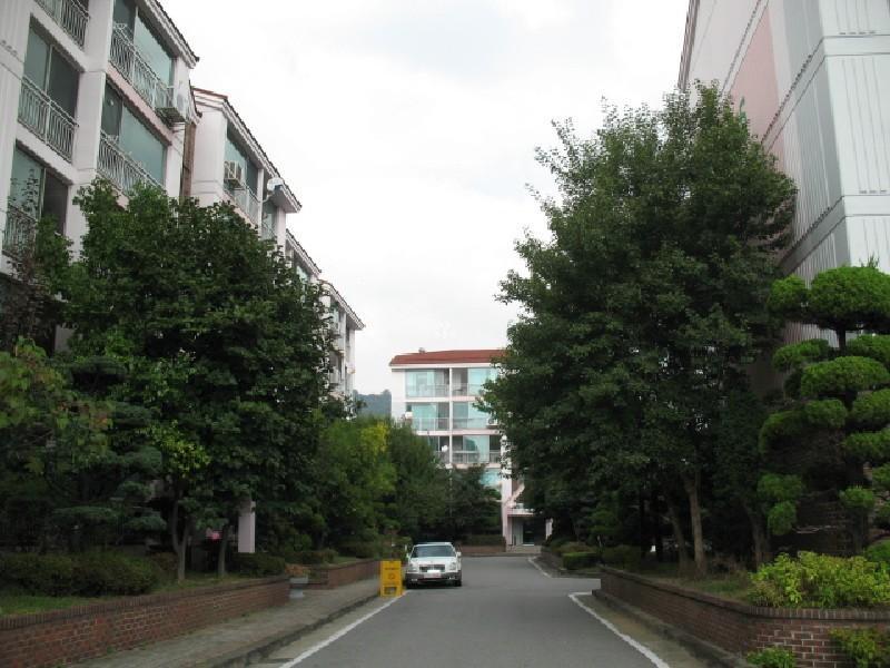 사진 281
