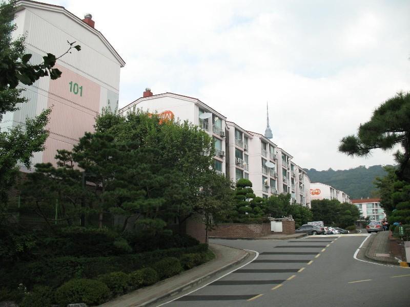 사진 288