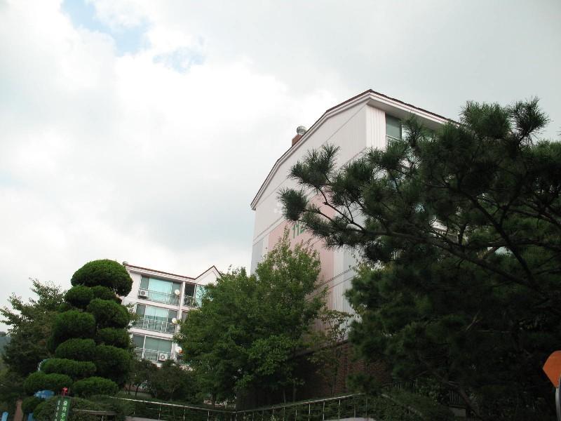 사진 290