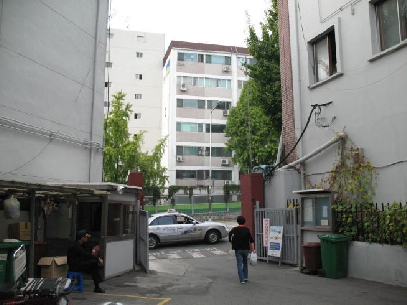 사진 334