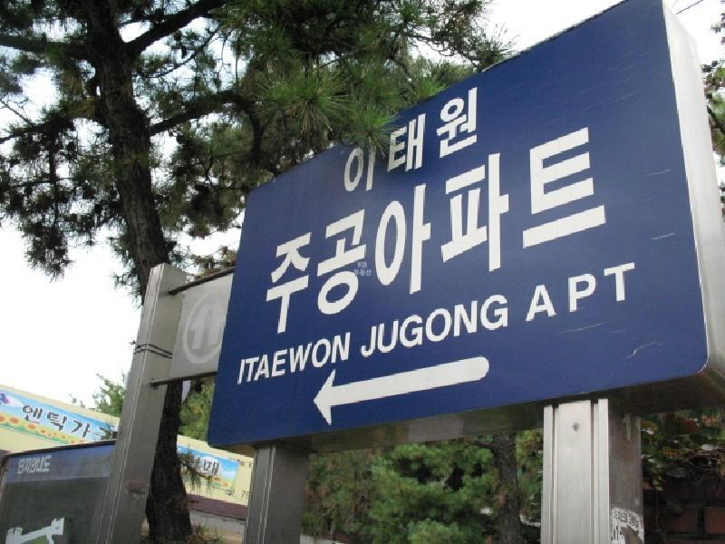 사진 297