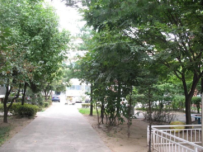 사진 304