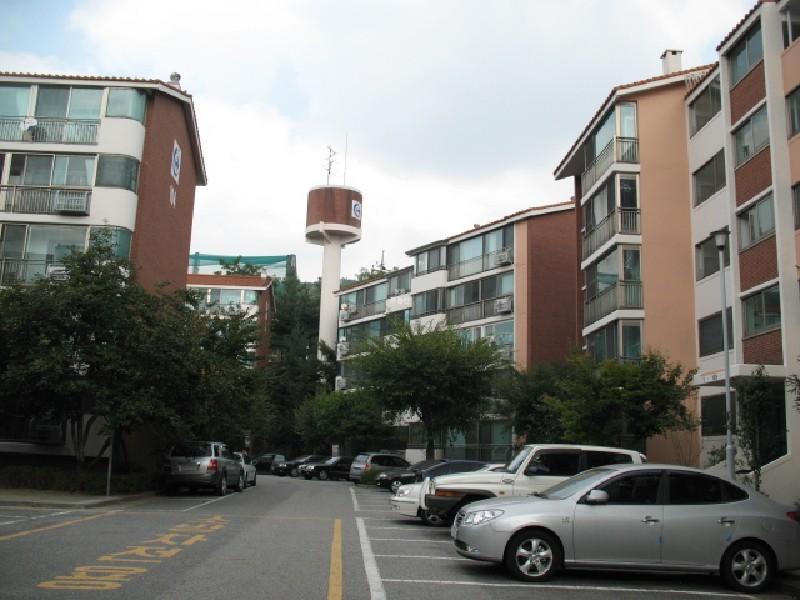 사진 300