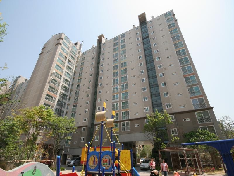 302동