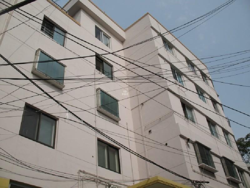 사진 243