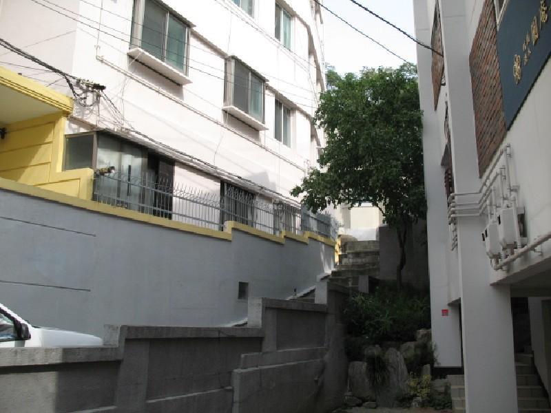 사진 247