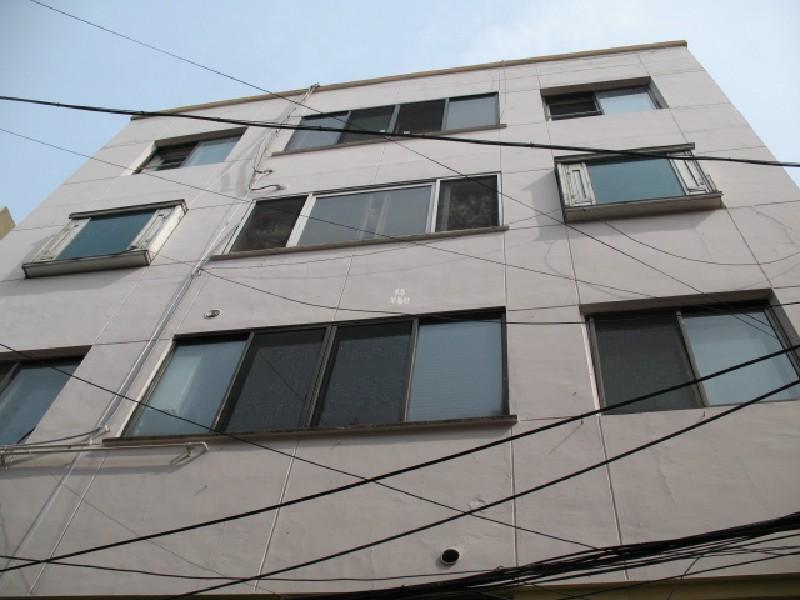 사진 251