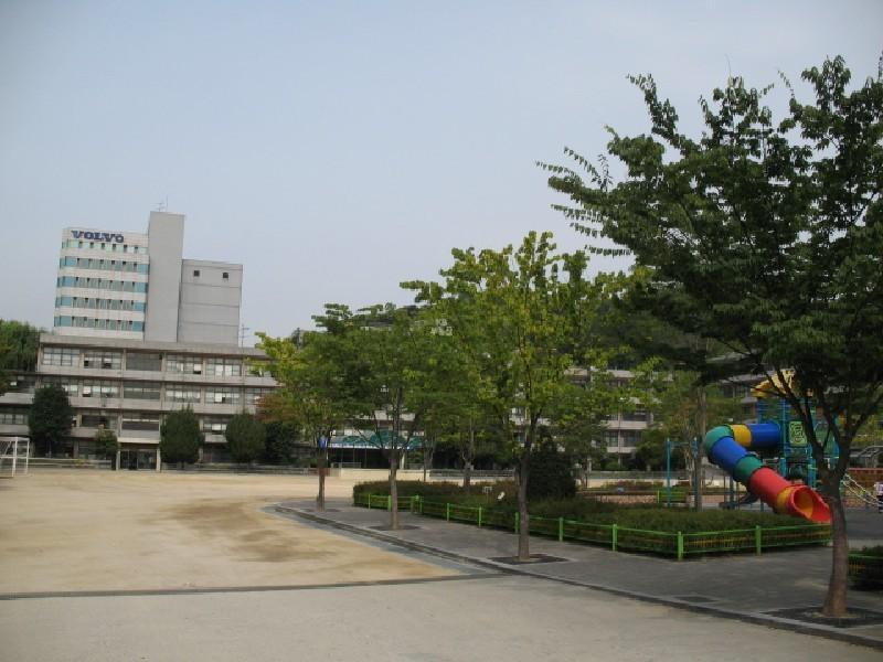 사진 241