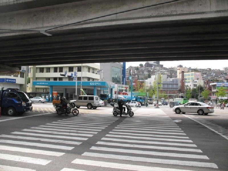 사진 253