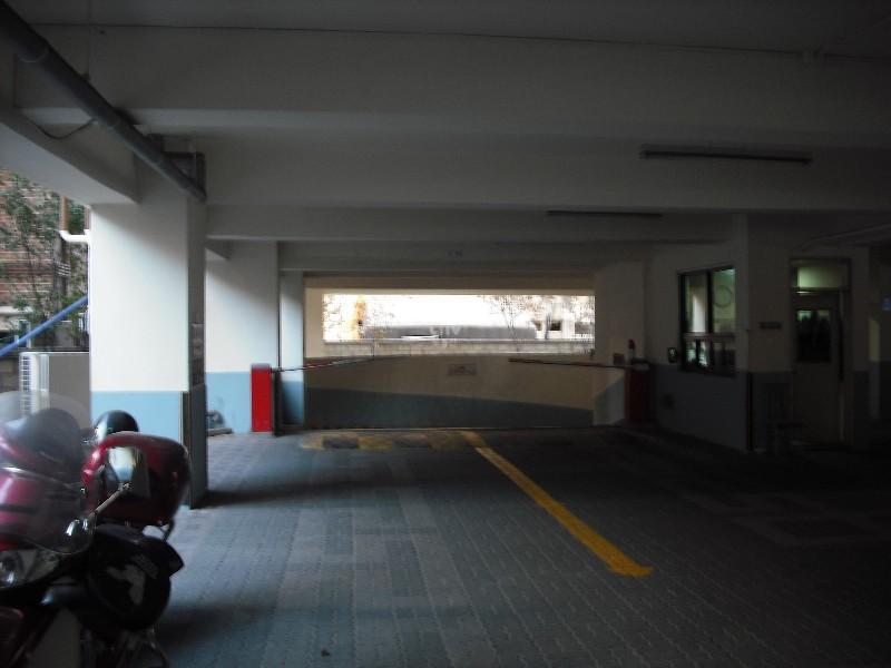 DSCF0595
