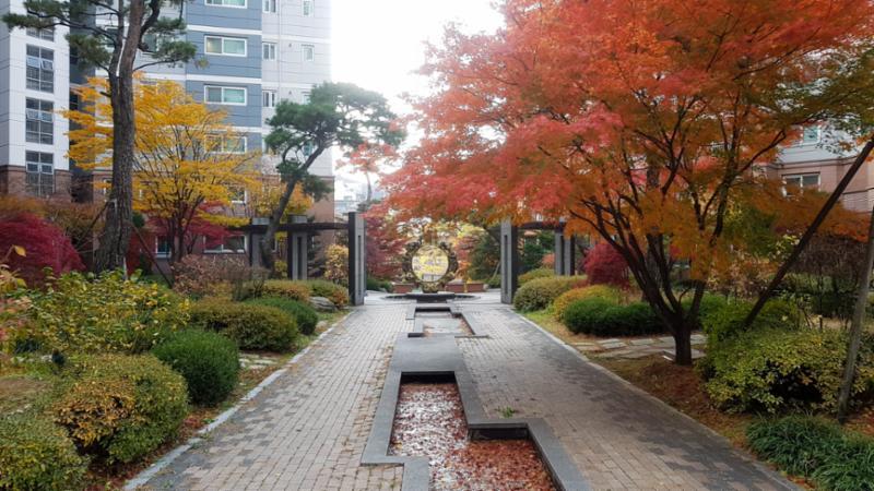 단지 중앙에는 분수시설과 수변시설, 다양한 조형물, 조경이 조화롭게 꾸며져 있습니다