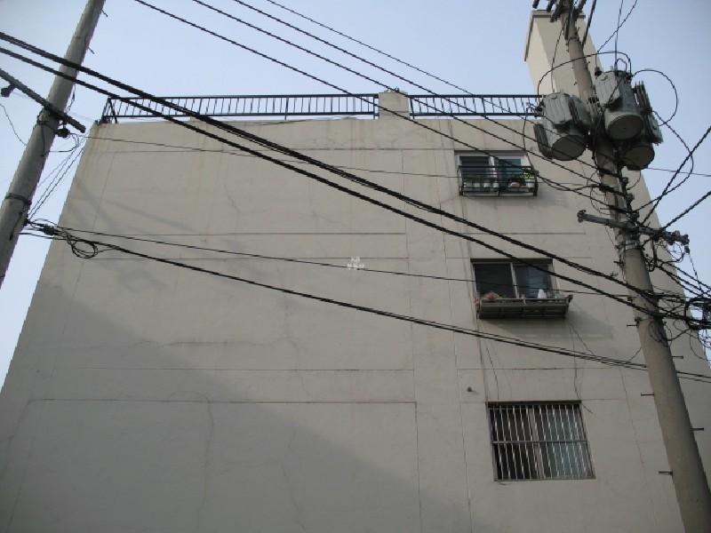 사진 036